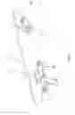 Fig. 09 - Universal Ice-Skate and Roller-Skate