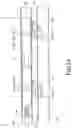 Fig. 04 - Two-way fastening structure for tablet PC
