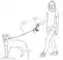 Fig. 01 - Pet waste retrieval system and method