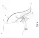 Fig. 10 - Chair arm rest system