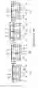 Fig. 04 - Vibrating mechanism of a body vibration machine