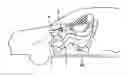 Fig. 01 - Wakefulness maintaining apparatus and method of maintaining wakefulness