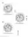 Fig. 06 - Multi-broad band antenna and electronic device thereof