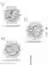 Fig. 07 - Multi-broad band antenna and electronic device thereof