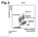 Fig. 07 - Particle analyzer and particle analyzing method