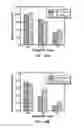 Fig. 08 - Process window for EUV lithography