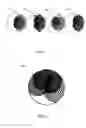 Fig. 04 - Variable guilloche and method