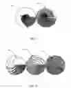 Fig. 06 - Variable guilloche and method