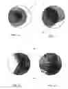 Fig. 09 - Variable guilloche and method