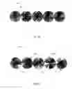 Fig. 12 - Variable guilloche and method