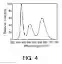 Fig. 06 - White light emitting device and light source module for liquid crystal display backlight using the same