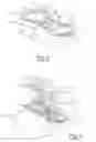 Fig. 04 - Accessory light