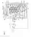 Fig. 02 - Image forming apparatus capable of preventing mismatching of punched hole position and binding direction
