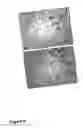 Fig. 09 - METHODS OF TREATING NEUROLOGICAL CONDITIONS WITH HEMATOPOEITIC GROWTH FACTORS