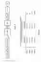 Fig. 09 - Focal calcium channel modulation