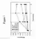 Fig. 02 - Method for fostering bone formation and preservation