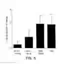 Fig. 06 - Vascular Endothelial Cell Growth Factor Antagonists