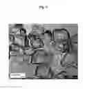 Fig. 02 - Sodium Diformate Production and Use
