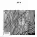 Fig. 03 - Sodium Diformate Production and Use