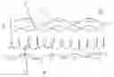 Fig. 01 - Packable water resistant insulated articles