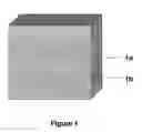 Fig. 02 - Cellulose pulp particle and product to promote fluid flow