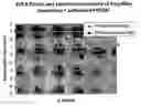 Fig. 07 - Fuel cell electro-catalyst composite composition, electrode, catalyst-coated membrane, and membrane-electrode assembly