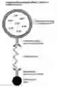 Fig. 01 - Detection of Analytes in Samples Using Liposome-Amplified Luminescence and Magnetic Separation