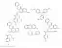 Fig. 01 - Methods for screening and therapeutic applications of kinesin modulators