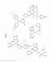 Fig. 02 - Methods for screening and therapeutic applications of kinesin modulators