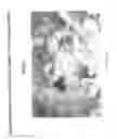 Fig. 02 - Method and quantification assay for determining c-kit/SCF/pAKT status