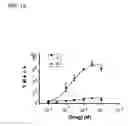 Fig. 16 - High-throughput screen for identifying selective persistent sodium channels channel blockers
