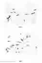 Fig. 02 - mutant strain and a fermentation method for producing acetoin using this organism