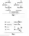 Fig. 02 - Enzymatic degumming utilizing a mixture of PLA and PLC phospholipases