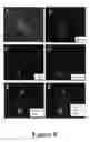 Fig. 09 - Mammalian extraembryonic endoderm cells and methods of isolation