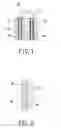 Fig. 02 - ELECTRICAL CONNECTOR