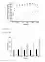 Fig. 10 - RNA aptamers and methods for identifying the same