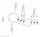 Fig. 16 - RNA aptamers and methods for identifying the same