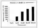 Fig. 01 - METABOTROPIC GLUTAMATE RECEPTOR ACTIVATOR