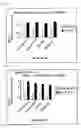 Fig. 03 - METABOTROPIC GLUTAMATE RECEPTOR ACTIVATOR