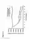 Fig. 02 - IDENTIFICATION AND CHARACTERIZATION OF HCV REPLICON VARIANTS WITH REDUCED SUSCEPTIBILITY TO HCV-796, AND METHODS RELATED THERETO