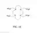 Fig. 09 - PEPTIDE DERIVATIVES, AND THEIR USE FOR THE SYNTHESIS OF SILICON-BASED COMPOSITE MATERIALS