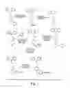 Fig. 02 - N- and O-substituted 4-[2-(diphenylmethoxy)-ethyl]-1-[(phenyl)methyl]piperidine analogs and methods of treating CNS disorders therewith