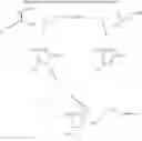 Fig. 23 - Method for asymmetric alkynylation of alpha-imino esters