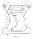 Fig. 02 - Reusable diapers
