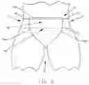 Fig. 06 - Diaper having hip stretch panels