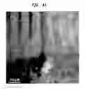 Fig. 37 - Methods And Devices For Fractional Ablation Of Tissue