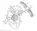 Fig. 01 - SURGICAL SYSTEM AND PROCEDURE FOR TREATMENT OF MEDICALLY REFRACTORY ATRIAL FIBRILLATION