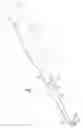 Fig. 02 - Implant Holder and Pusher