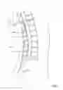 Fig. 02 - HARD TISSUE ANCHORS AND DELIVERY DEVICES