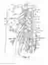 Fig. 04 - Method, system and device for treating disorders of the pelvic floor by electrical stimulation of the sacral and/or pudendal nerves